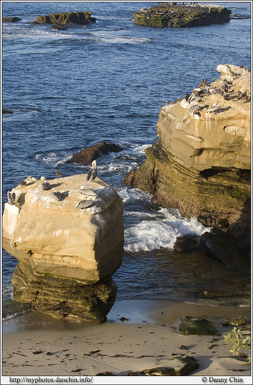 Click to view full size image