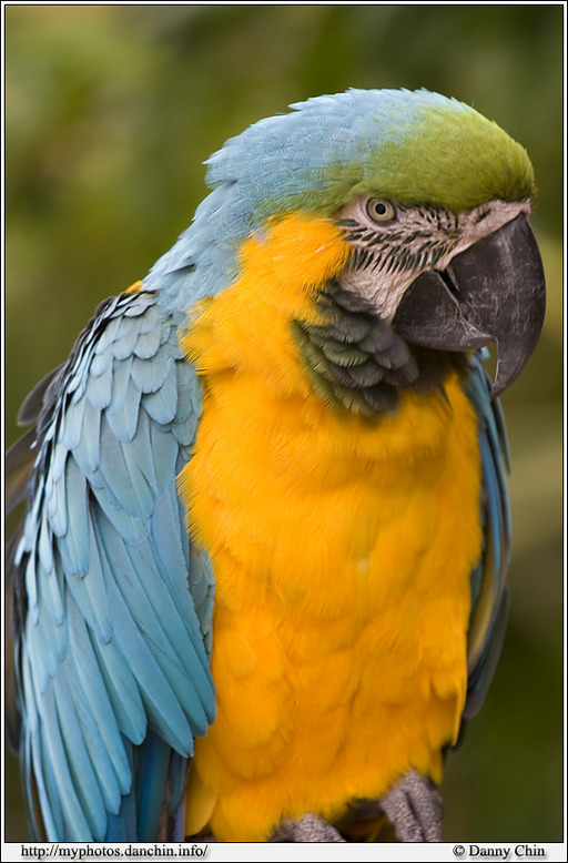 Click to view full size image