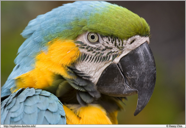 Click to view full size image