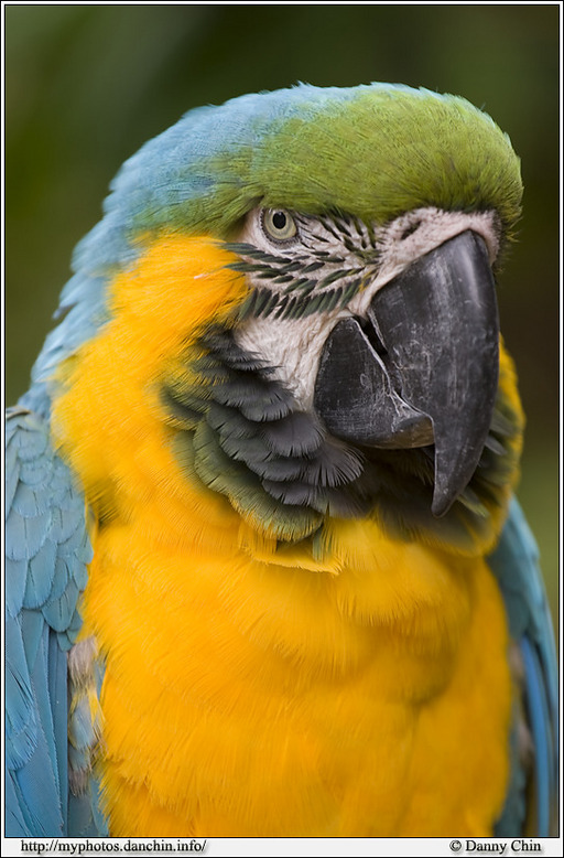 Click to view full size image