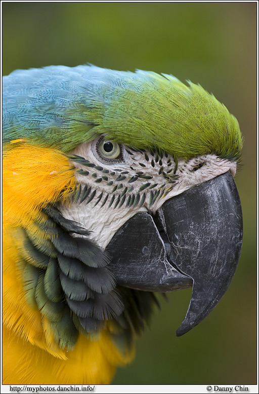 Click to view full size image