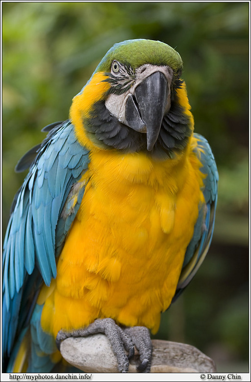 Click to view full size image